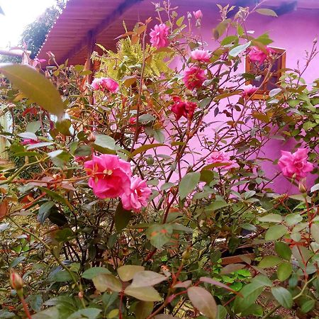 Villa Agape - Chapada Dos Veadeiros Alto Paraíso de Goiás Exterior foto